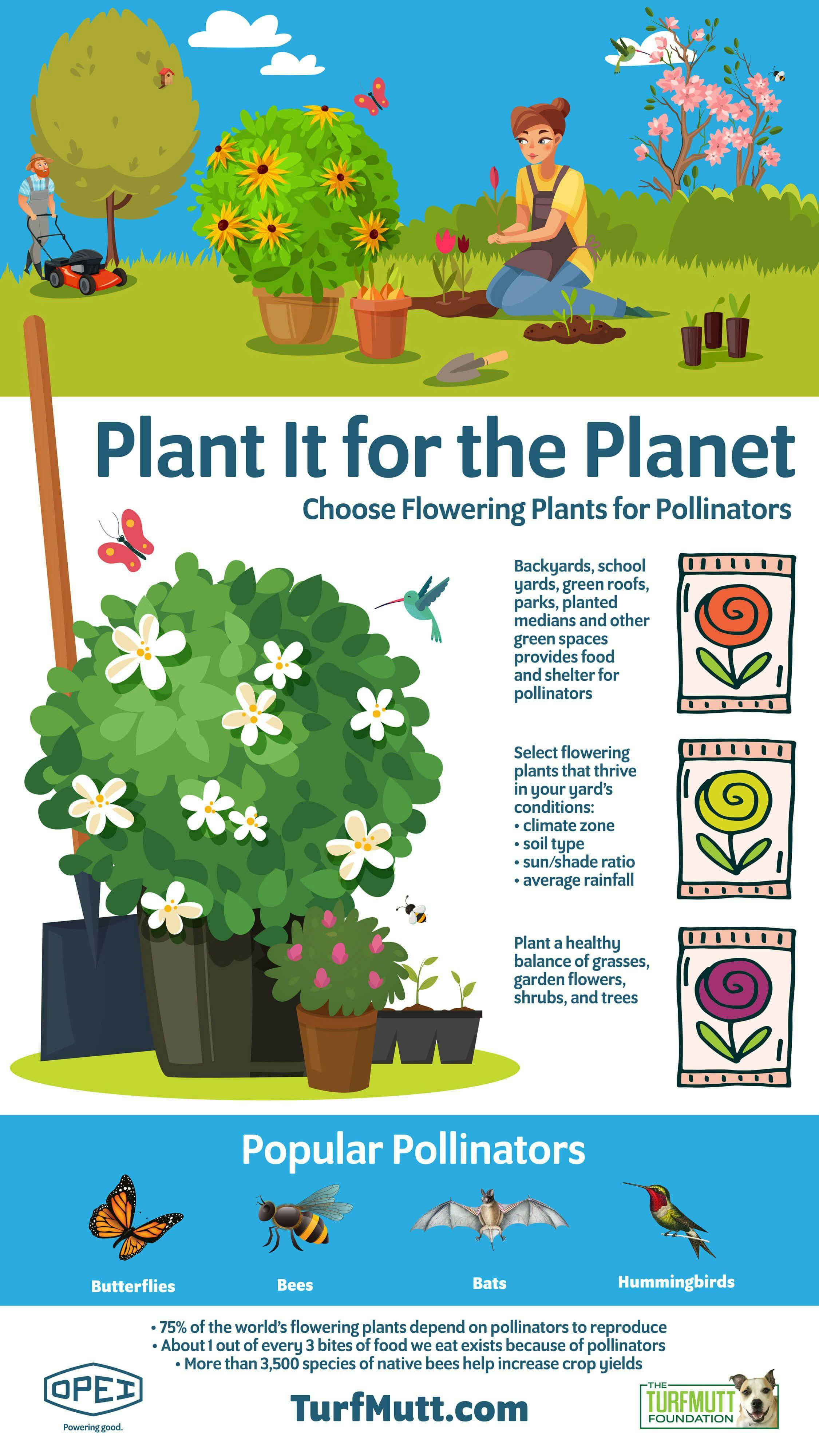 Plant It for the Planet: Choose Flowering Plants for Pollinators