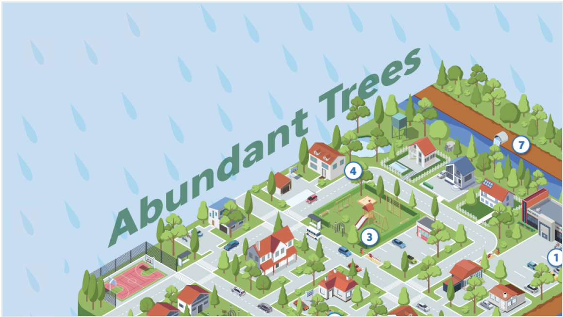 Lesson 5: Trees Tame Stormwater (Grades 6-8)