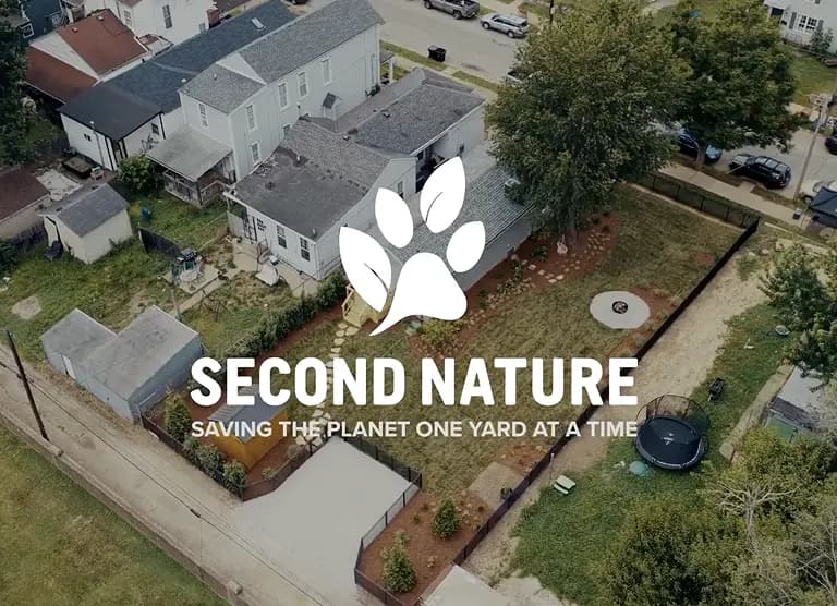 Second Nature
