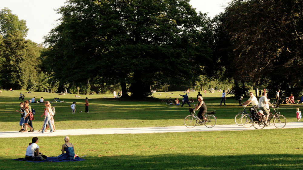 Get to know your parks